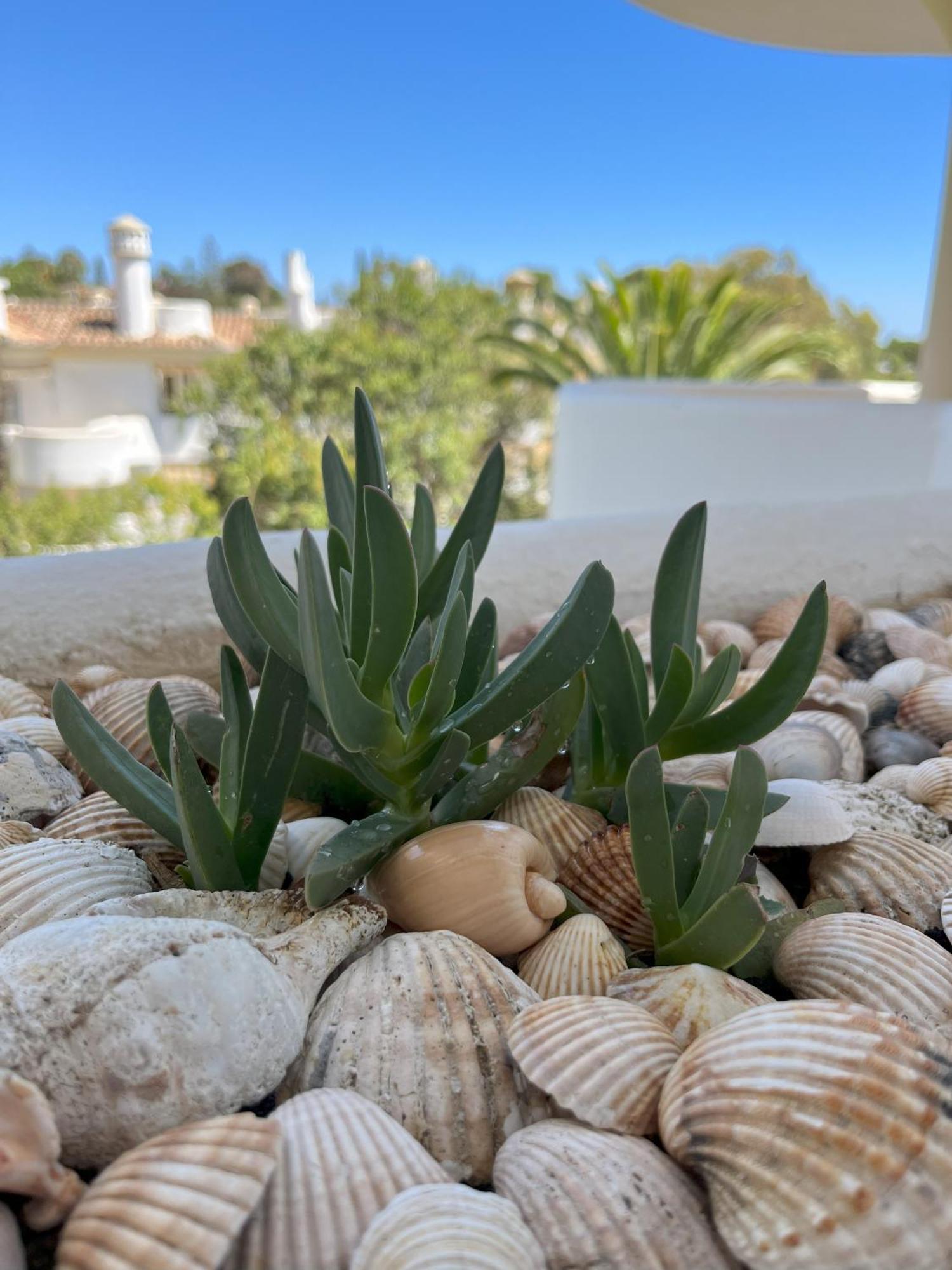 Casadeleon - Costadelsol Vacations & Remote Work Sitio de Calahonda Exterior foto